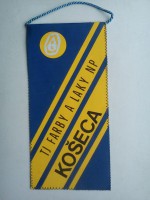 /album/koseca/koseca-tj-farby-a-laky-np-21-jpg/